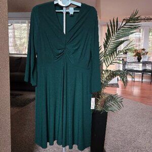 NWT Sabrina Collective sz 2x dress